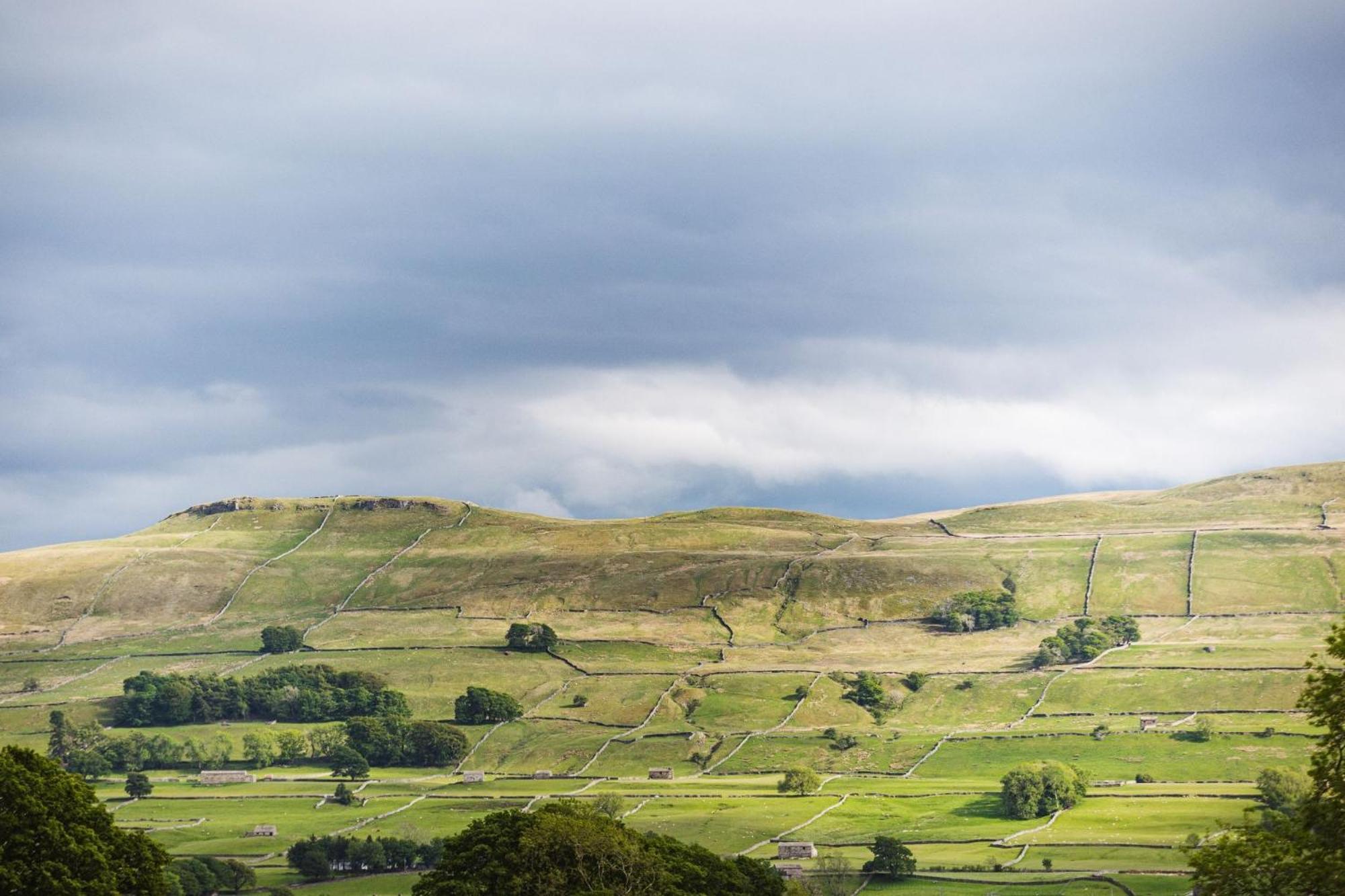 Bearskin Cottage Leyburn Bagian luar foto